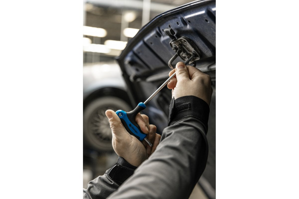 T-type torx security keys, long TT10