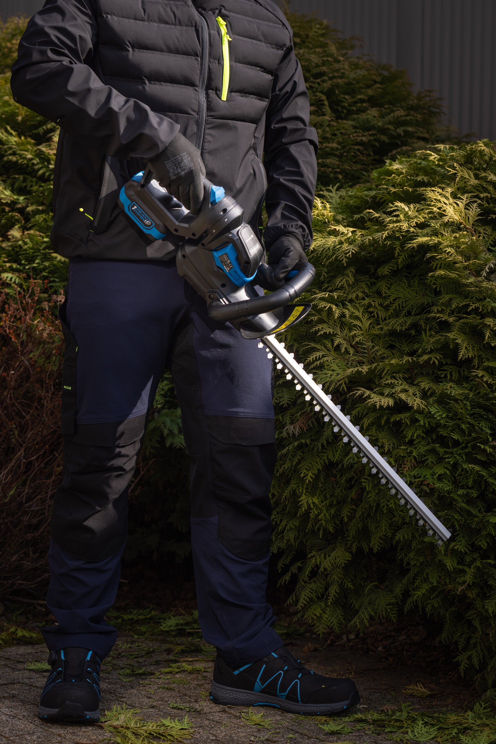 Hedge trimmer set with 2Ah battery and charger