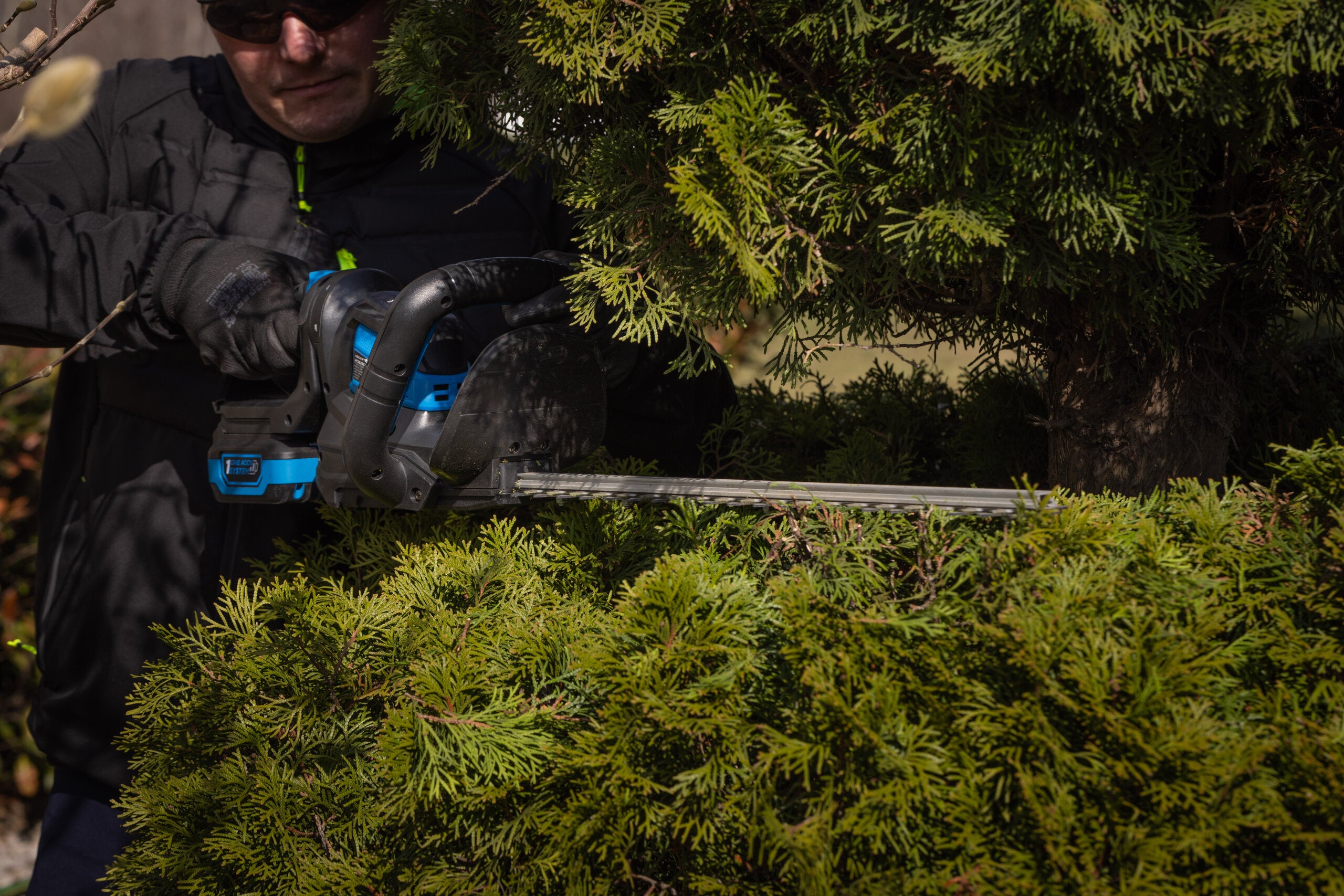 Hedge trimmer set with 2Ah battery and charger