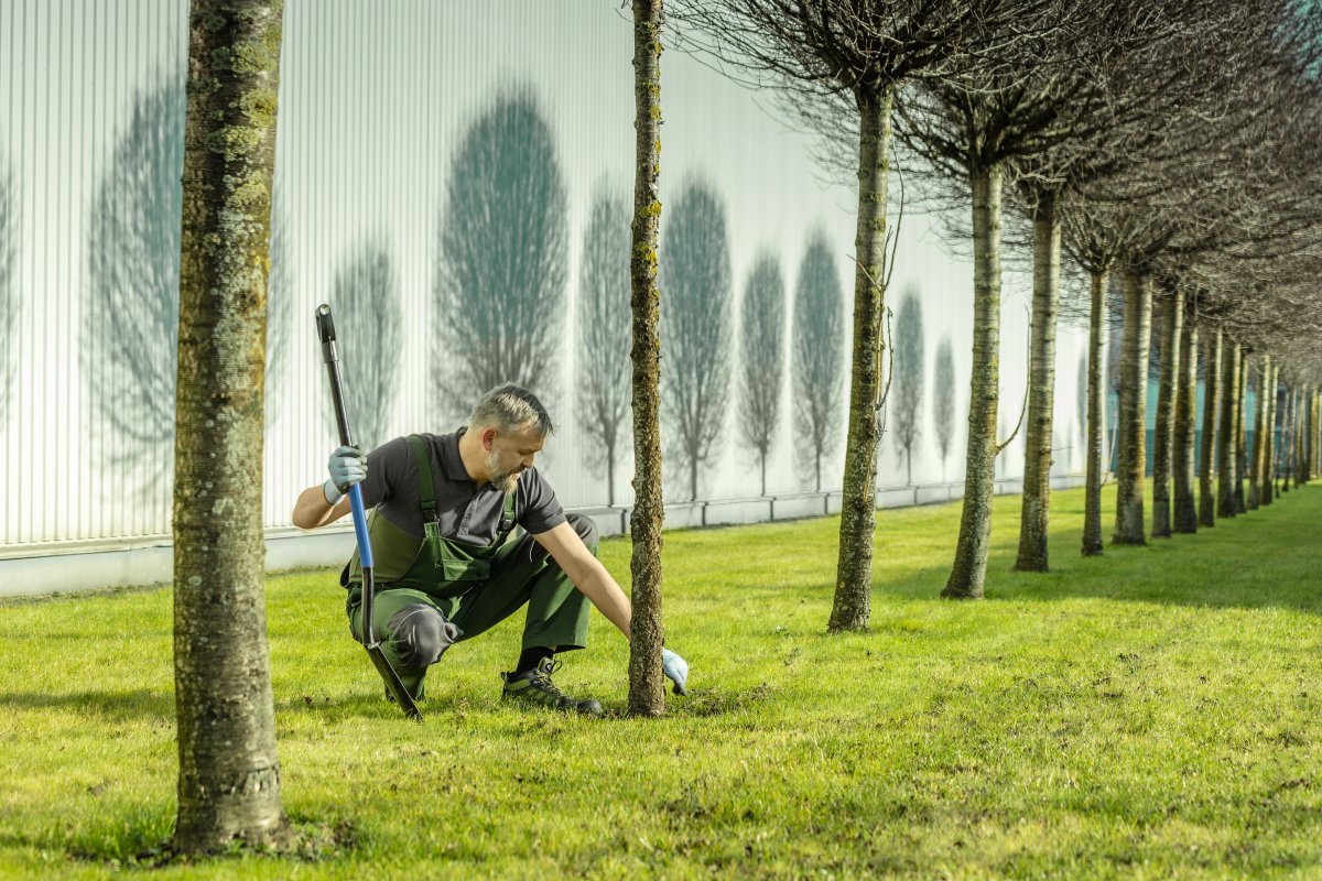 URFT Polo bawełniane