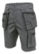 LEMBERG shorts